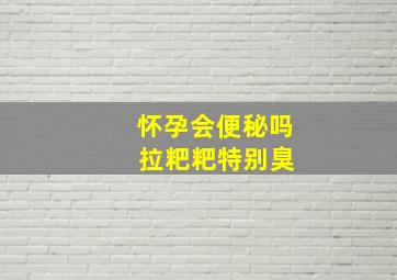 怀孕会便秘吗 拉粑粑特别臭